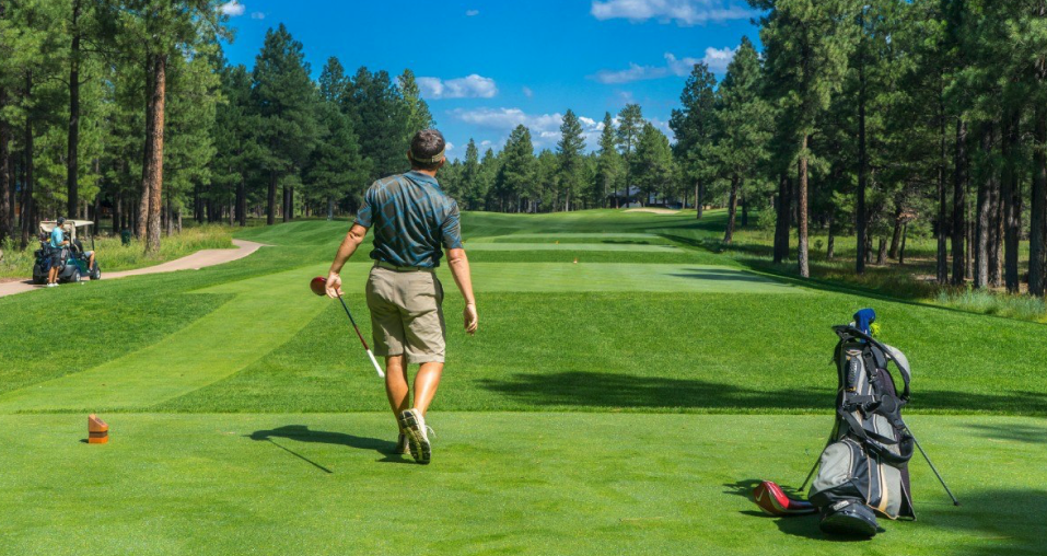 Blog Image: Back view of a golf player looking at the distance after his shot to support the stroke play blog