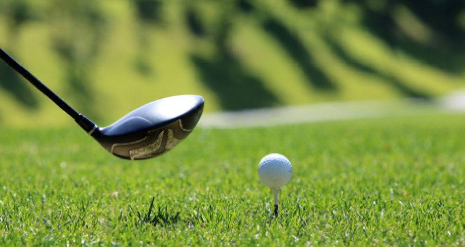 Golf Club stick and golf ball 